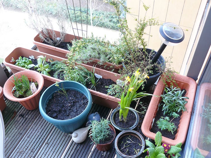 different plant pots on a balcony garden