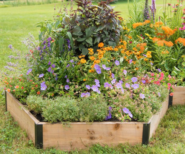 diy garden bed