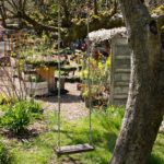 diy garden swing seat attached to a tree