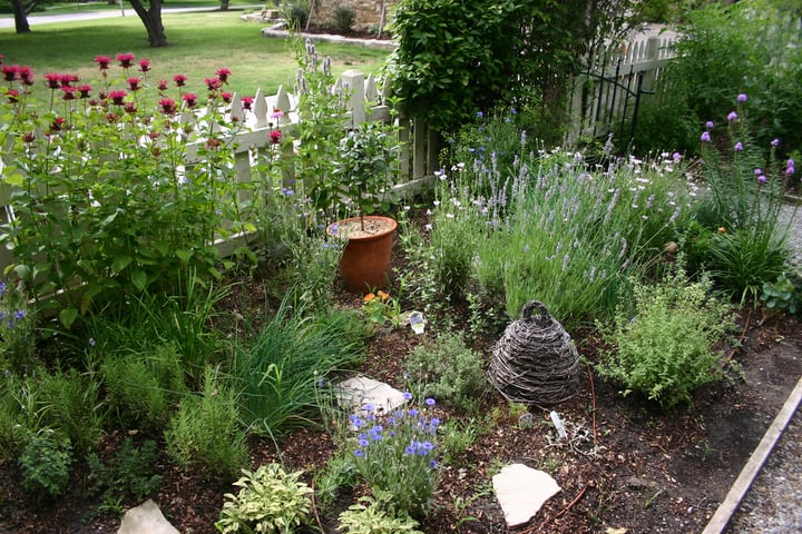 herb garden