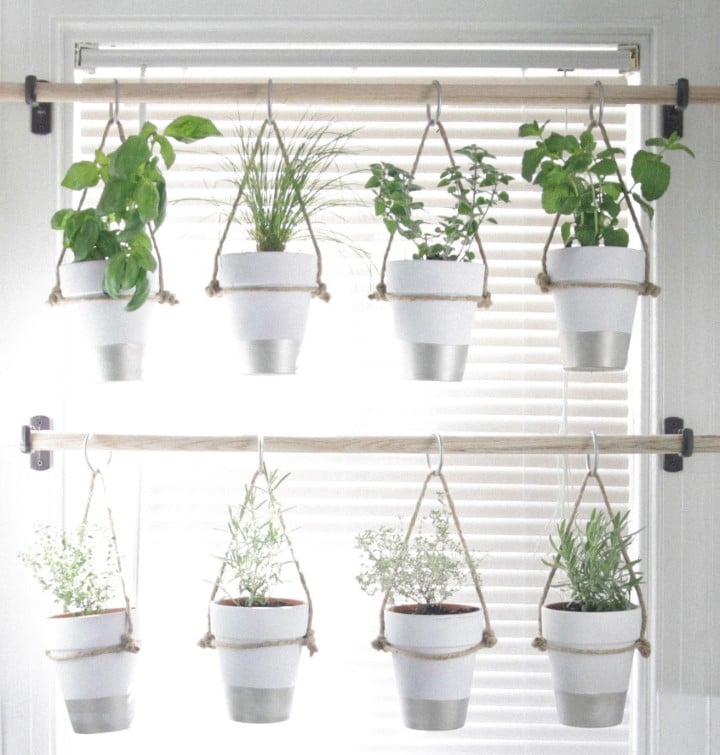 herb gardening containers