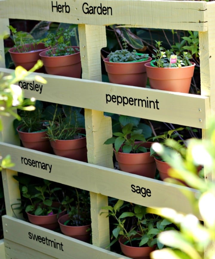 33 Best Herb Garden Ideas How To, Small Herb Garden Ideas
