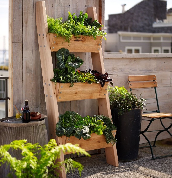 herb grow box