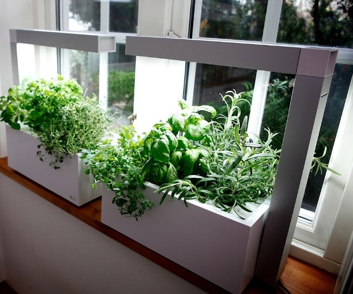 herb grow light