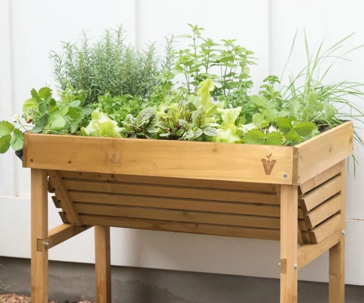 herb plant box