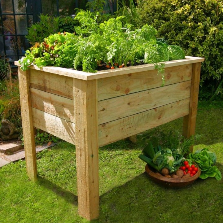 herb plant stand outdoor