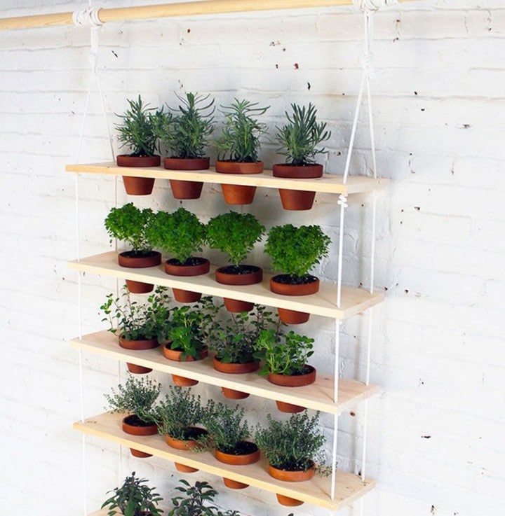 herb plant stand