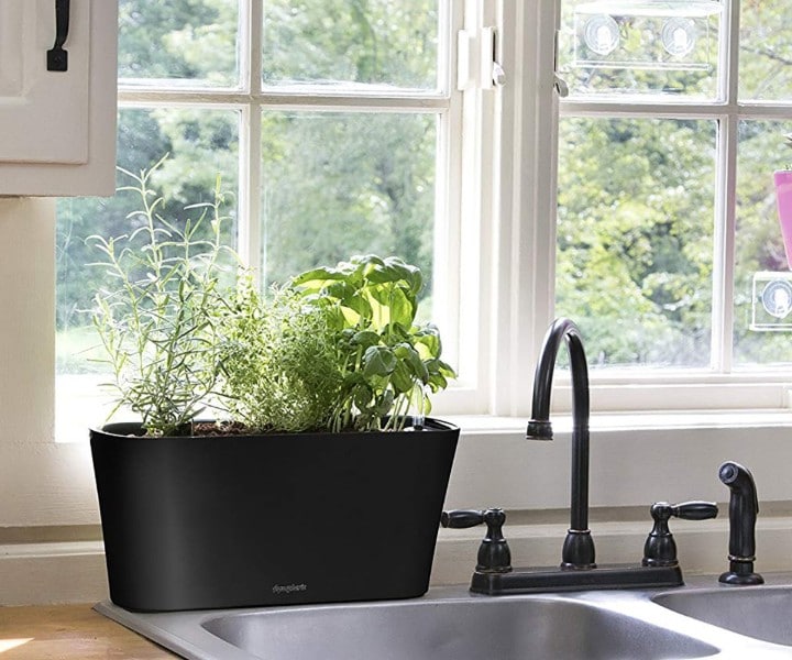 herb pots for kitchen