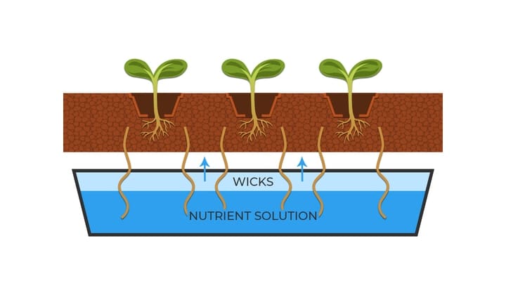 hydroponic wick system