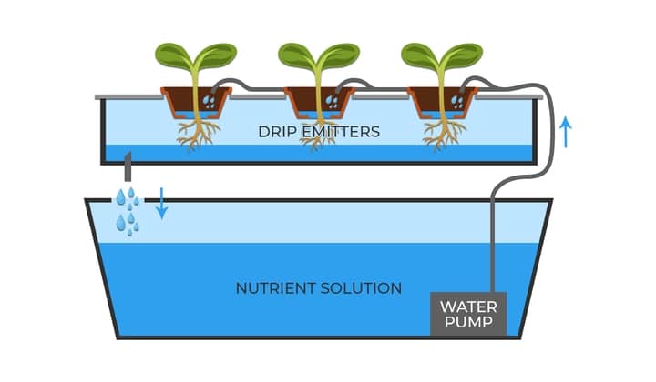 hydroponics drip water system