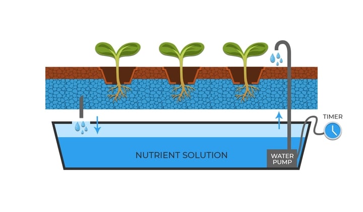 hydroponics ebb and flow system diagram