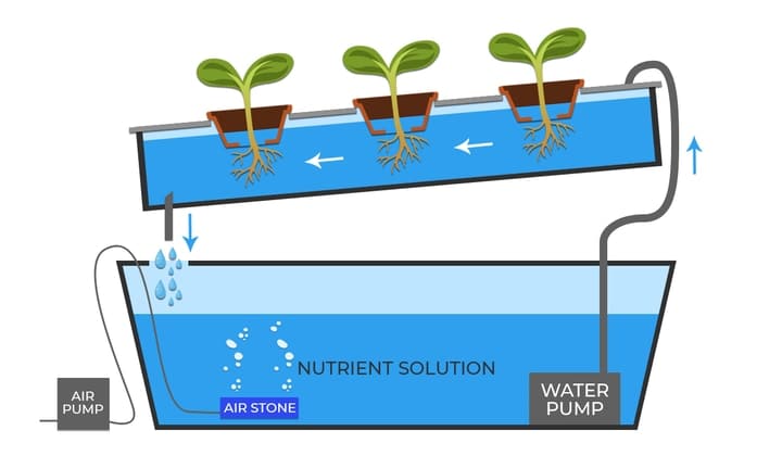 hydroponics ntf nutrient film technique system