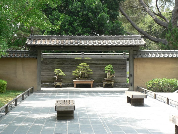 japanese bonsai garden