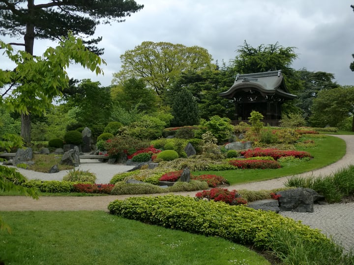 japanese garden featuring plants flowers and rocks