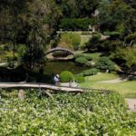 japanese garden with bridge parthway and water basin