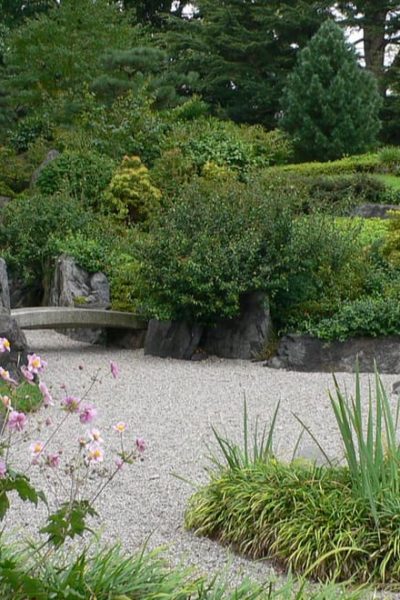 japanese garden with rocks and plants