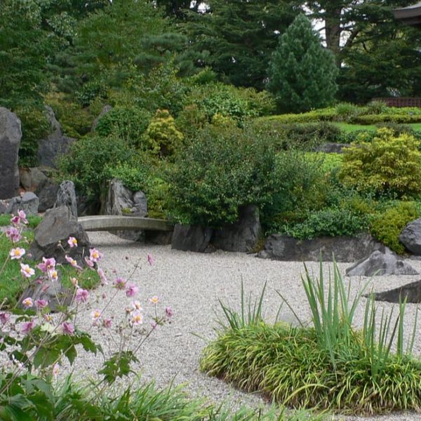 japanese garden with rocks and plants