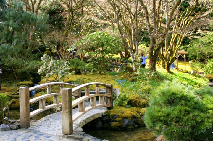 japanese garden wuth rock moss and bridge