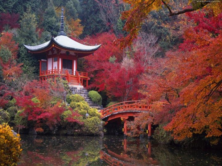 japanese gardens ideas