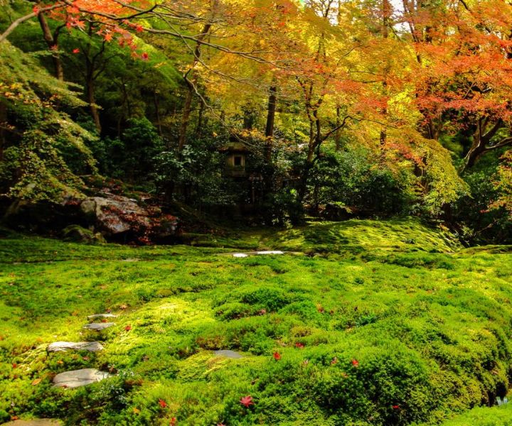 japanese gardens in fort worth