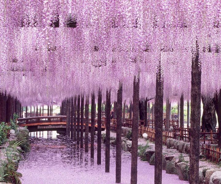 japanese gardens los angeles