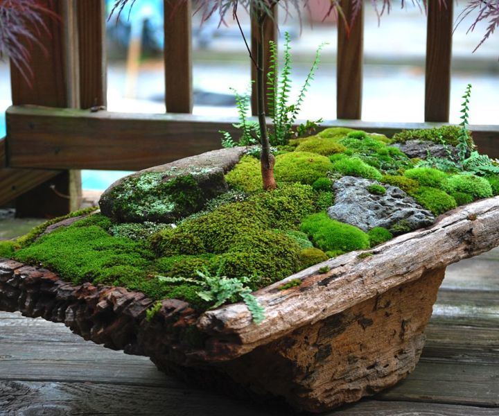 japanese gardens seattle