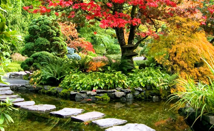 japanese oasis garden