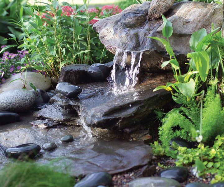 low water gardening