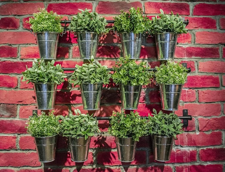 metal bucket plant wall