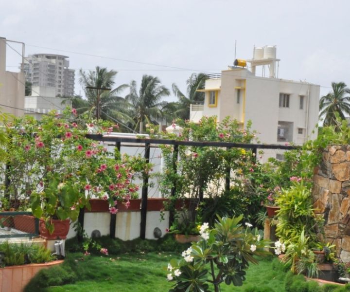 organic terrace gardening in bangalore