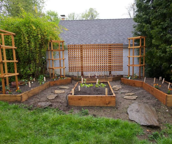 organic terrace gardening