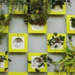 ornamental plant wall