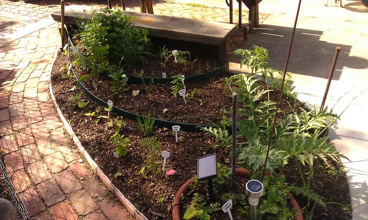 patio herb garden