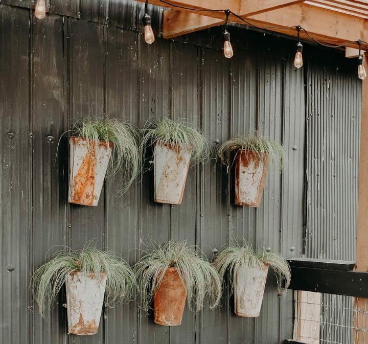 plant wall with lights