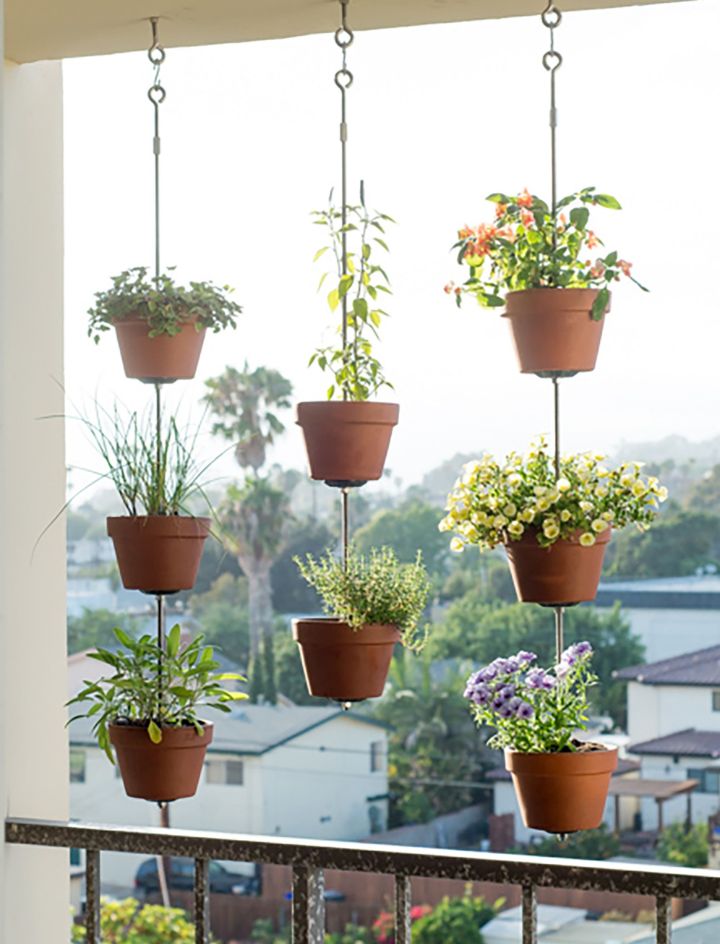 plants for balcony garden