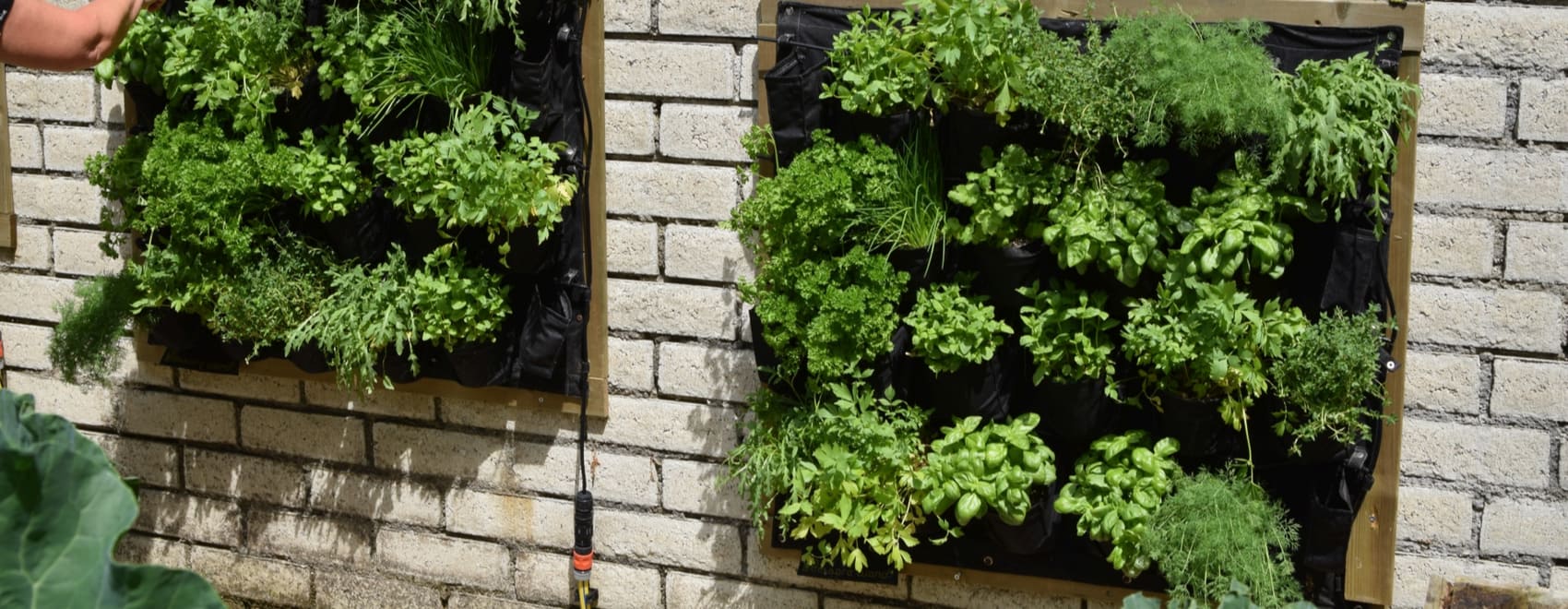 41 Awesome Plant Wall Ideas & How to Build a DIY Plant Wall