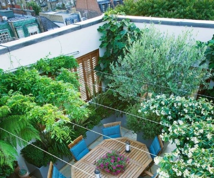 roof terrace gardening