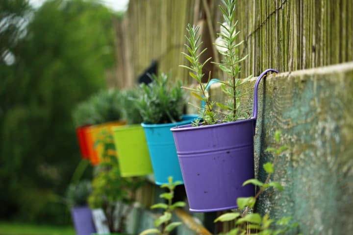 small garden plant wall