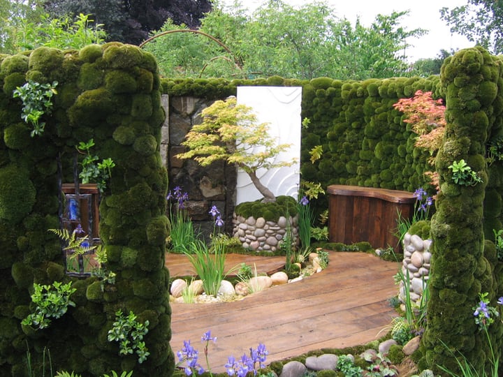 small japanese moss garden