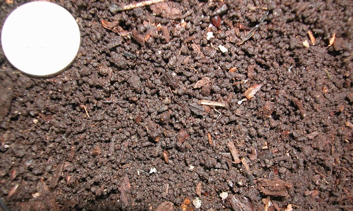 soil for bee garden