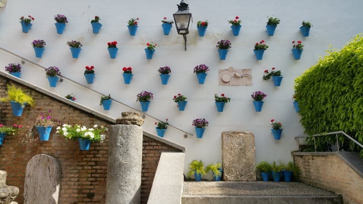 stair case plant wall