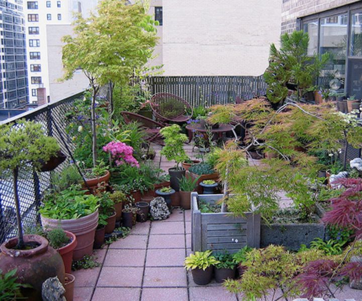 terrace gardening bags