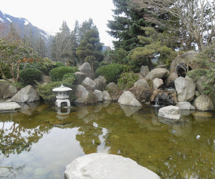 the japanese gardens