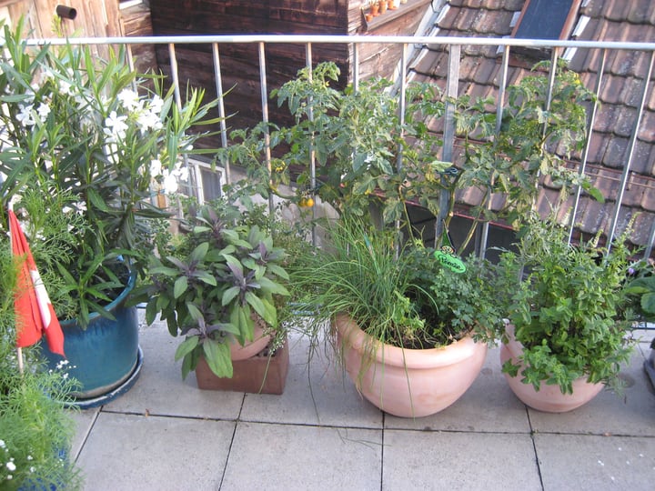 tiny balcony garden