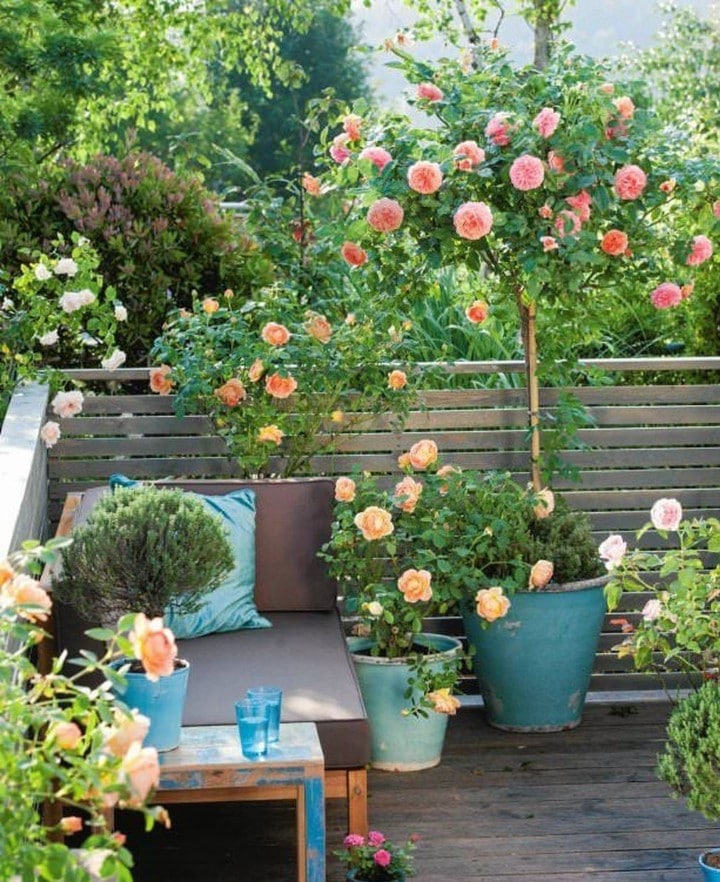 consejos para el jardín del balcón  - Excelentes ideas para jardines en balcón