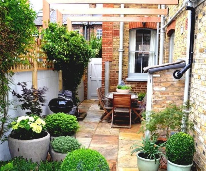 tips for terrace gardening