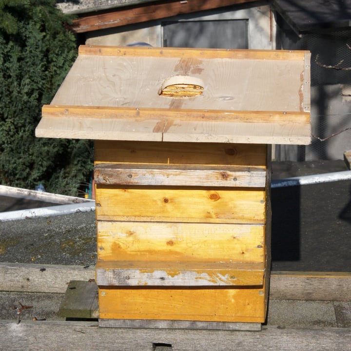 warre hive