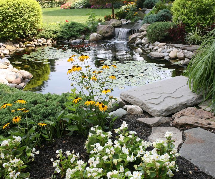 water efficient gardening