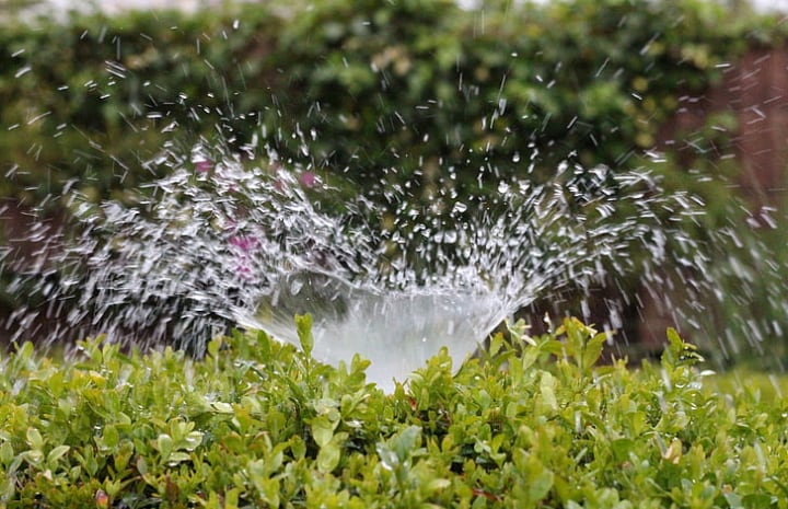 water sprinkler in the front lawn garden