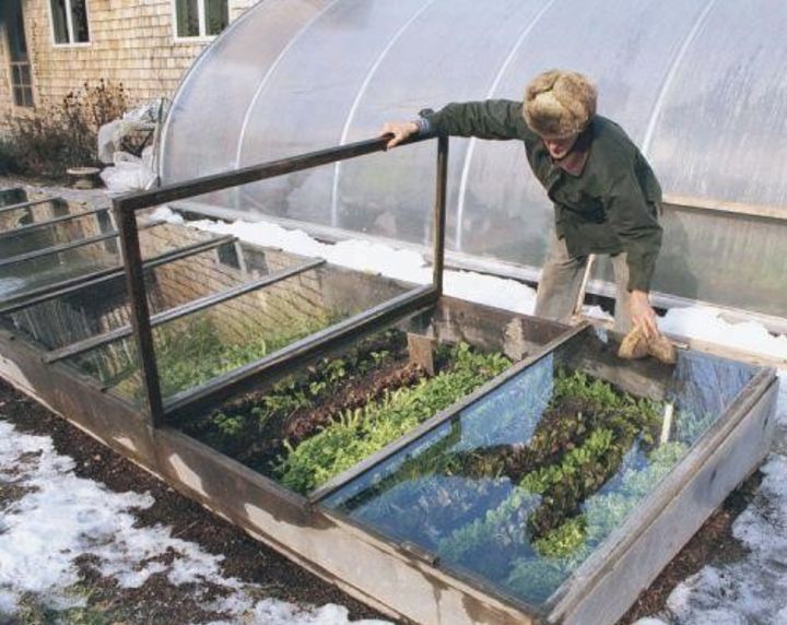 winter gardening greenhouse